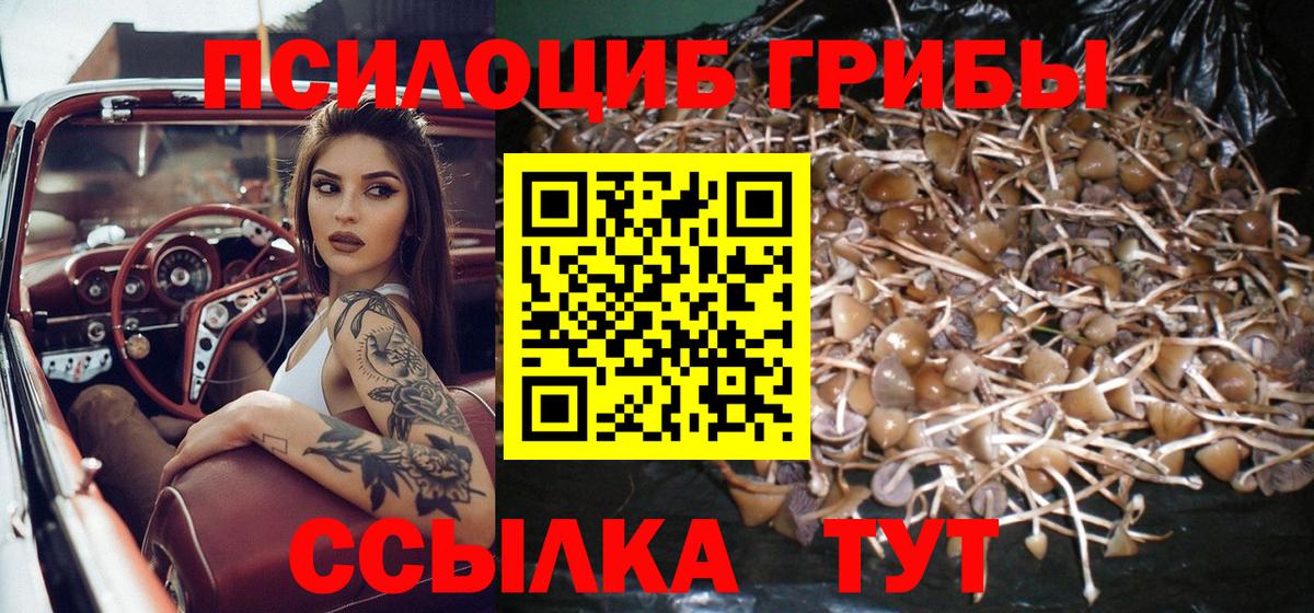 Усть-Джегута  Галлюциногенные грибы ЛСД  хочу   Вход с VPN 