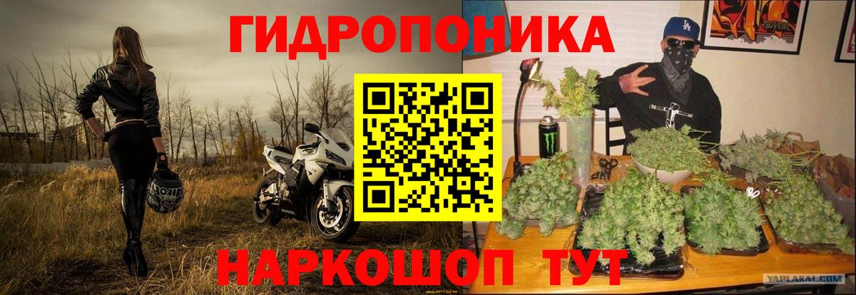 Каннабис SATIVA & INDICA Усть-Джегута